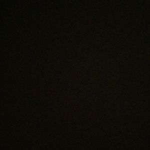 Meet your Posher, Adelina